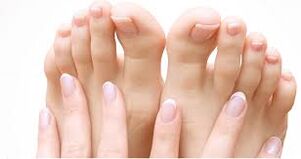 A healthy nail